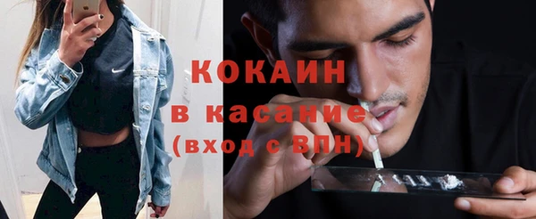 твердый Алексин