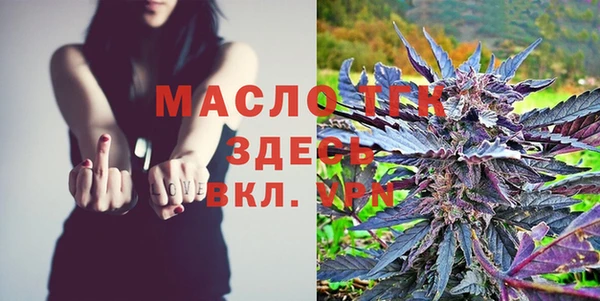 твердый Арсеньев
