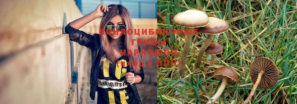 молекула духа Осташков