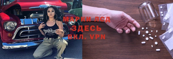 молекула духа Осташков